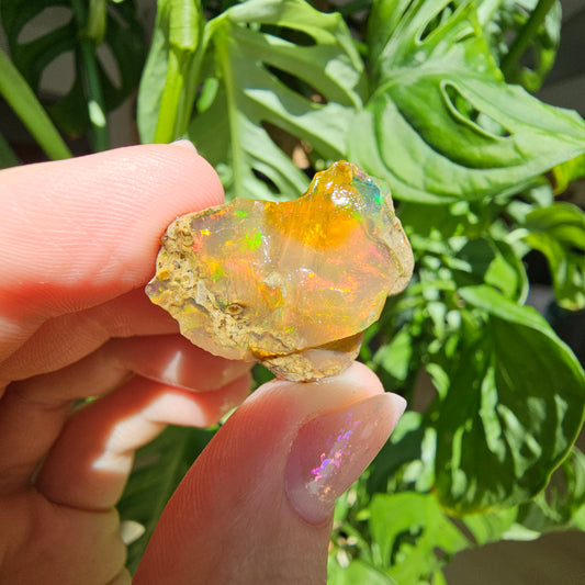 Äthiopischer Opal #50M