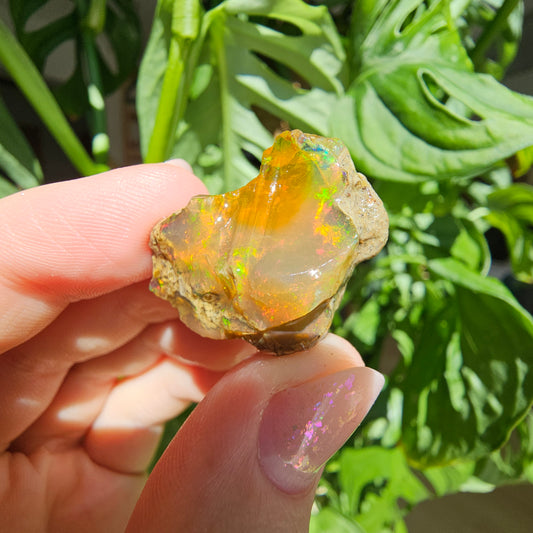 Äthiopischer Opal #50M