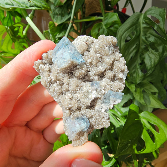 Grün/Blauer Fluorit mit Quarz #37D