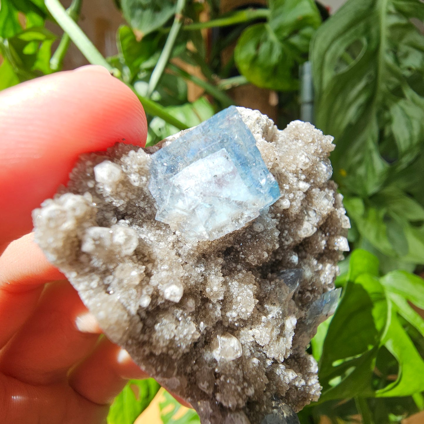 Grün/Blauer Fluorit mit Quarz #37D